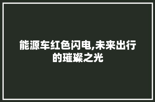 能源车红色闪电,未来出行的璀璨之光