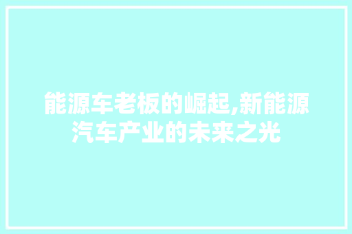 能源车老板的崛起,新能源汽车产业的未来之光