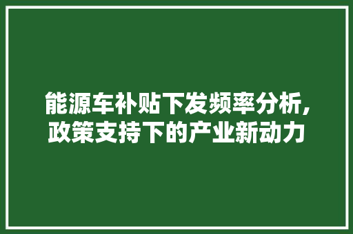 能源车补贴下发频率分析,政策支持下的产业新动力