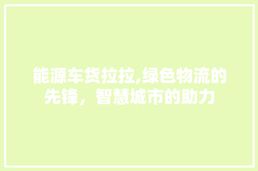 能源车货拉拉,绿色物流的先锋，智慧城市的助力
