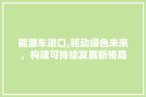 能源车进口,驱动绿色未来，构建可持续发展新格局