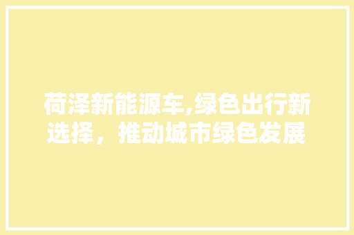 荷泽新能源车,绿色出行新选择，推动城市绿色发展