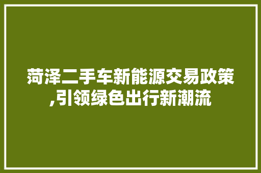菏泽二手车新能源交易政策,引领绿色出行新潮流