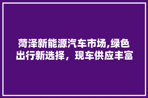 菏泽新能源汽车市场,绿色出行新选择，现车供应丰富多样