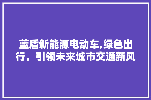 蓝盾新能源电动车,绿色出行，引领未来城市交通新风尚
