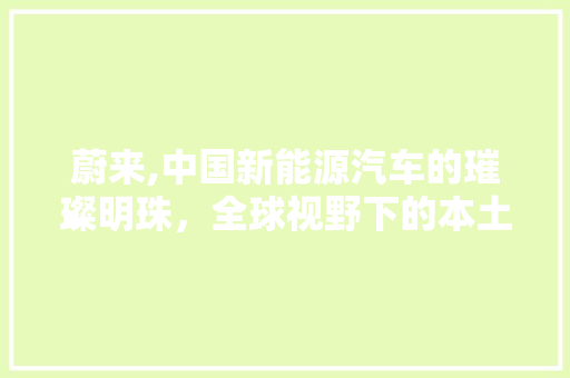 蔚来,中国新能源汽车的璀璨明珠，全球视野下的本土创新力量