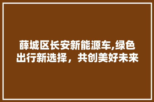 薛城区长安新能源车,绿色出行新选择，共创美好未来