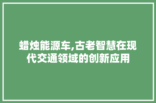蜡烛能源车,古老智慧在现代交通领域的创新应用