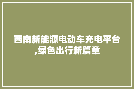 西南新能源电动车充电平台,绿色出行新篇章
