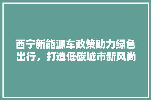 西宁新能源车政策助力绿色出行，打造低碳城市新风尚