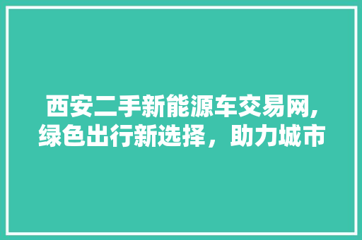 西安二手新能源车交易网,绿色出行新选择，助力城市可持续发展