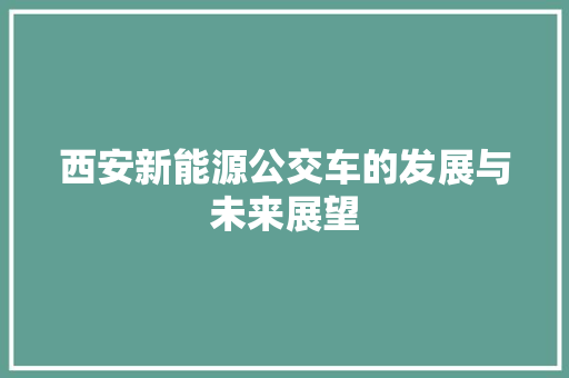 西安新能源公交车的发展与未来展望