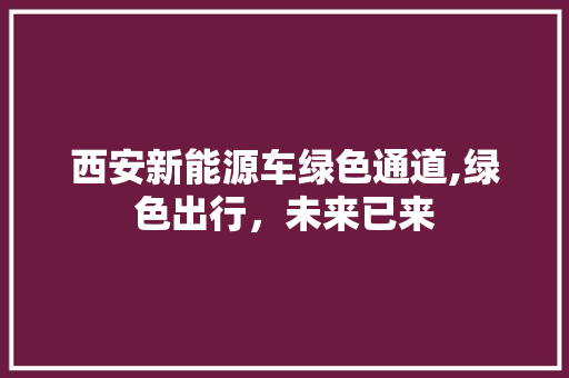 西安新能源车绿色通道,绿色出行，未来已来