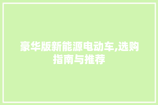 豪华版新能源电动车,选购指南与推荐