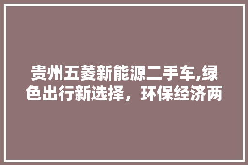 贵州五菱新能源二手车,绿色出行新选择，环保经济两不误