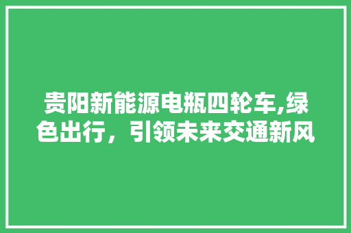 贵阳新能源电瓶四轮车,绿色出行，引领未来交通新风尚