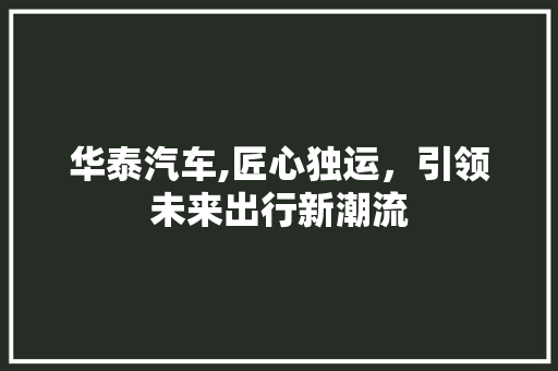 华泰汽车,匠心独运，引领未来出行新潮流