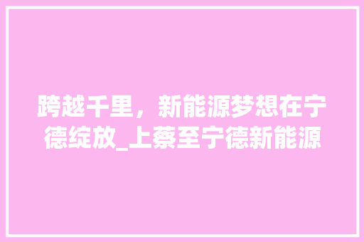 跨越千里，新能源梦想在宁德绽放_上蔡至宁德新能源车辆专线巡礼