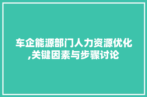车企能源部门人力资源优化,关键因素与步骤讨论