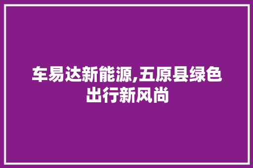 车易达新能源,五原县绿色出行新风尚