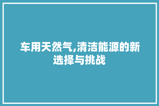 车用天然气,清洁能源的新选择与挑战
