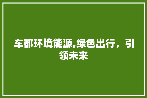 车都环境能源,绿色出行，引领未来