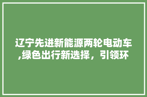 辽宁先进新能源两轮电动车,绿色出行新选择，引领环保潮流 蓄电池配件