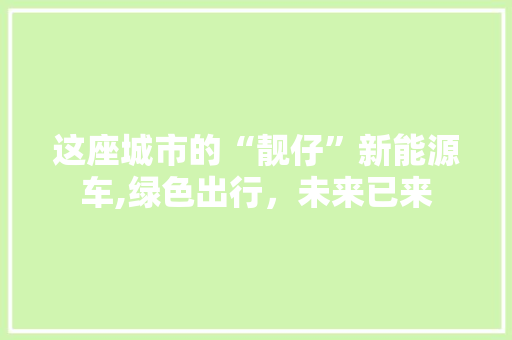 这座城市的“靓仔”新能源车,绿色出行，未来已来
