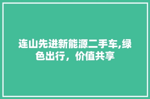 连山先进新能源二手车,绿色出行，价值共享