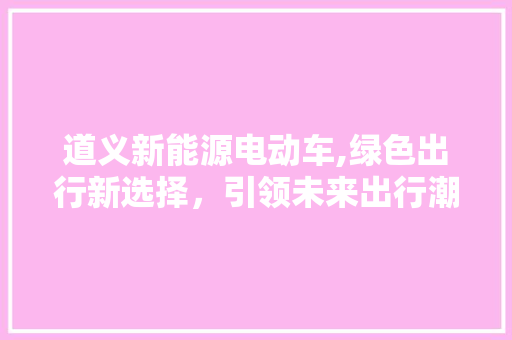 道义新能源电动车,绿色出行新选择，引领未来出行潮流