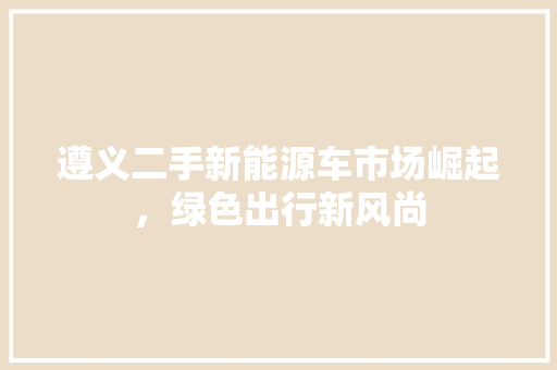遵义二手新能源车市场崛起，绿色出行新风尚