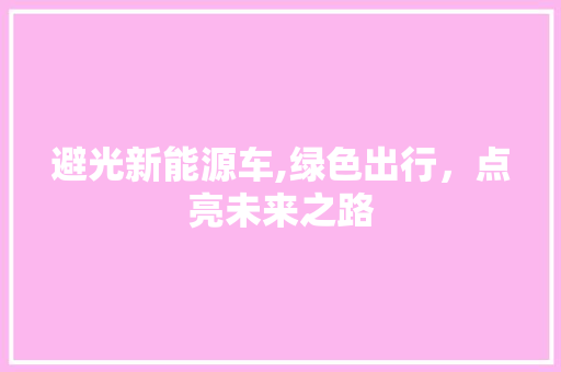 避光新能源车,绿色出行，点亮未来之路