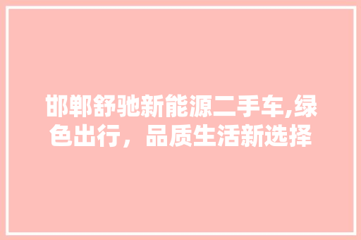 邯郸舒驰新能源二手车,绿色出行，品质生活新选择