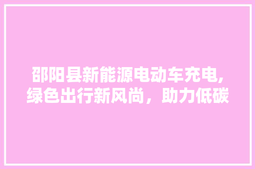 邵阳县新能源电动车充电,绿色出行新风尚，助力低碳生活新篇章