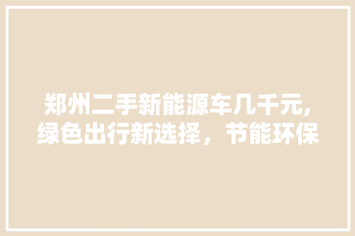 郑州二手新能源车几千元,绿色出行新选择，节能环保新时尚