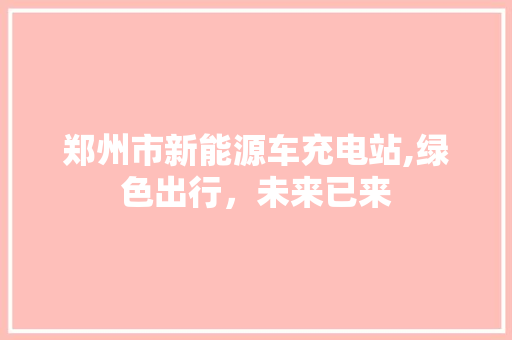 郑州市新能源车充电站,绿色出行，未来已来