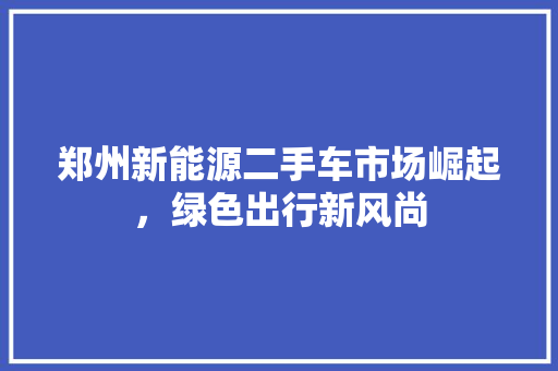 郑州新能源二手车市场崛起，绿色出行新风尚