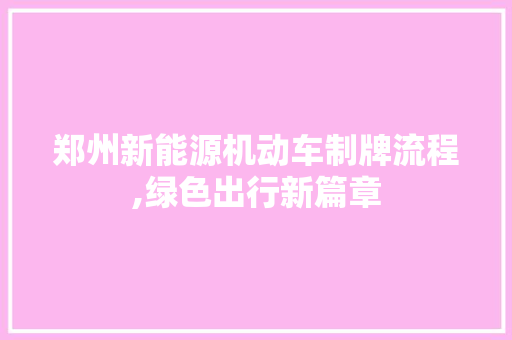 郑州新能源机动车制牌流程,绿色出行新篇章