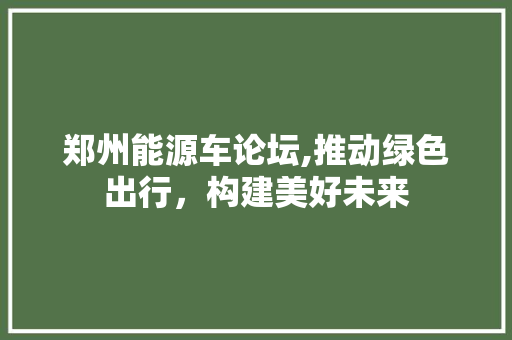 郑州能源车论坛,推动绿色出行，构建美好未来