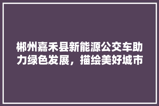 郴州嘉禾县新能源公交车助力绿色发展，描绘美好城市蓝图