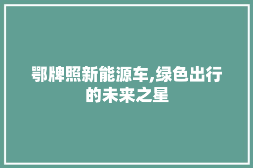 鄂牌照新能源车,绿色出行的未来之星