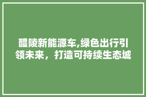 醴陵新能源车,绿色出行引领未来，打造可持续生态城市