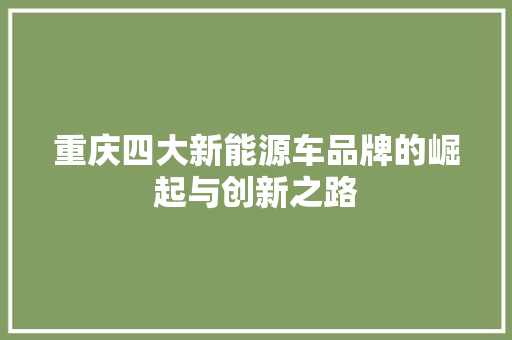 重庆四大新能源车品牌的崛起与创新之路