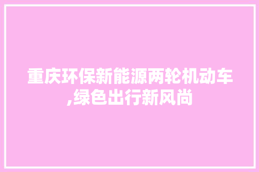重庆环保新能源两轮机动车,绿色出行新风尚