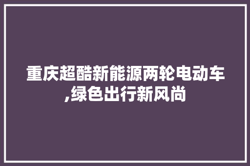 重庆超酷新能源两轮电动车,绿色出行新风尚