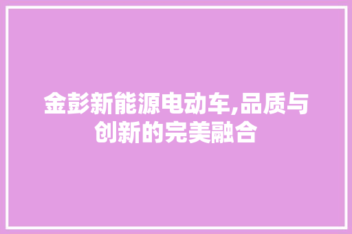 金彭新能源电动车,品质与创新的完美融合