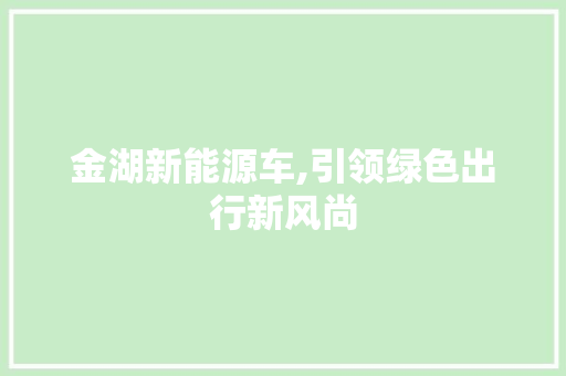 金湖新能源车,引领绿色出行新风尚