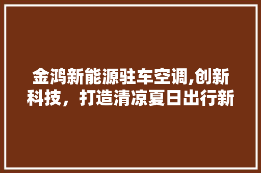 金鸿新能源驻车空调,创新科技，打造清凉夏日出行新体验