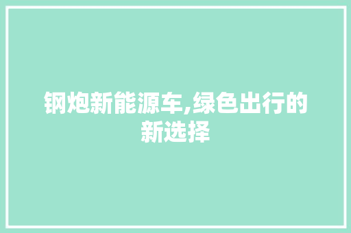 钢炮新能源车,绿色出行的新选择