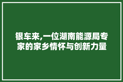 银车来,一位湖南能源局专家的家乡情怀与创新力量
